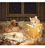 кошка с книгой