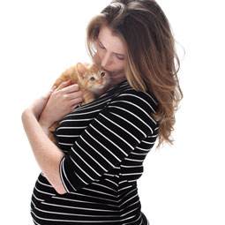 беременность и кошка