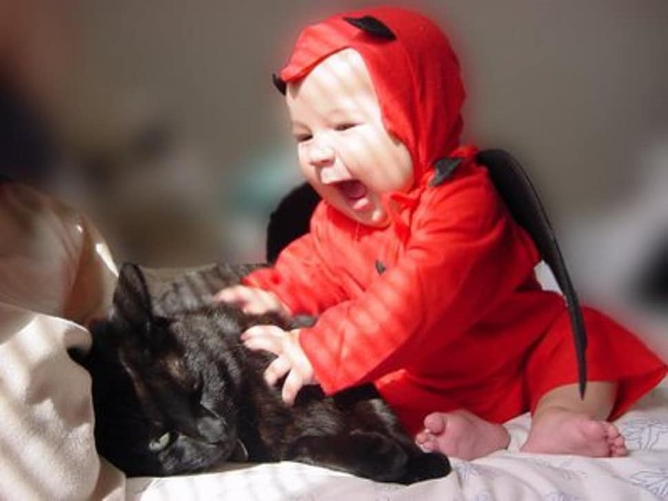 10 Смешных Кошек с Маленькими Детьми